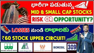 భారీగా పడుతున్న Mid & Small Cap stocks Risk Or Opportunity? Rs60 Stock Result| GNFC Natural Capsules
