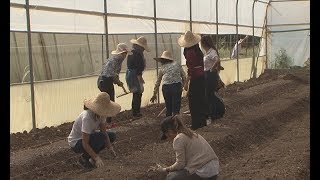 لەئەنجامی پرۆژەی گەنج و کشتوکاڵ گەنجان بونەتە خاوەن کار