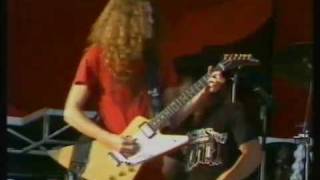 VHQ(VS) Free Bird Knebworth 1976 -  Lynyrd Skynyrd