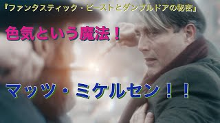 色気という魔法にかかる！『ファンタスティック・ビーストとダンブルドアの秘密』のおはなし。【新作映画レビュー】