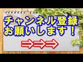 vsビークルシリーズ ダブル変形 dxグッドストライカー の遊び方！vsチェンジャーに取付けて音声を全部発動！警察Ｓエンブレムももらいました。【ウピさん＆おもちゃのＫＡＮちゃんねる】