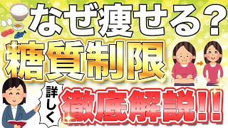 【糖質制限ダイエット】徹底解説！ 糖質制限ダイエットで痩せる秘密とは　糖質疲労対策やロカボに！