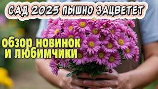 Обзор семян: новинки нашего сада 2025 и любимчики прошлого сезона