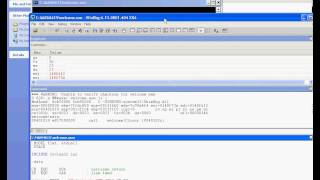 Using Windows Debugger with Assembly Language