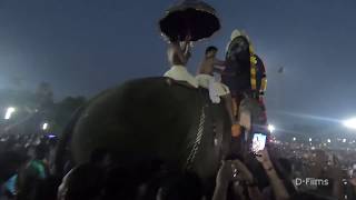 Anayadi Pooram 2020 Full Clips | Kerala Elephant