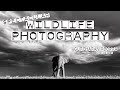 Award-Winning Wildlife Photographer in Kenya | Incredible images - PART I