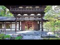 11 6 水 秋の京都散歩🍁東福寺通天橋を歩く【4k】tofukuji temple kyoto