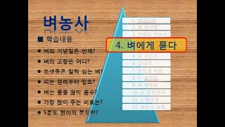 [벼농사 4/12]  벼에게 묻다_기념일, 고향, 조생종, 피, 물, 비료, 현미