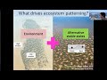 resilience in large ecosystems