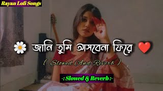 জানি তুমি আসবেনা ফিরে 🥀😪 jani tumi asbe nah fire | new lofi song (slowed reverb) Bangla new lofi