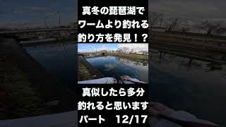 冬の琵琶湖バス釣り。シャッドで釣れ続くw #バス釣り #バスフィッシング