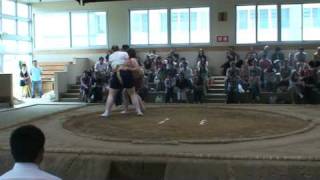 Gaijin Sumo 2009 (Womens) Elaine - Caito