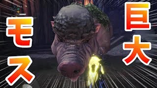 【MHW】モスなら余裕!?元日限定クエ「モスはモスでもモスのモス」がとんでもなかった【モンハンワールド】