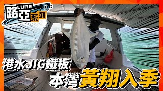 【路亞】港水JIG鐵板中大魚 本灣黃翔入季  魅力十足 | #香港釣魚