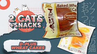 Japanese Bread Wheat Cakes - Okinawa Brown Sugar + Orange || Snack Review