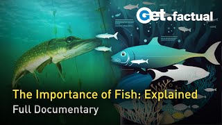 Something Fishy - Feeding the Planet | Full Documentary
