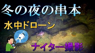 冬の夜の串本をナイター水中ドローン撮影、第5夜[ROV]