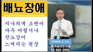 배뇨장애의 한방치료