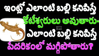 ఇంట్లో ఎలాంటి బల్లి కనిపిస్తే కోటీశ్వరులు అవుతారు ఎలాంటి బల్లి కనిపిస్తే పేదరికంలో మగ్గిపోతారు/mytv