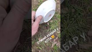 ОТЖАЛ ХАБАР у КОТА!!!🐈 #коп #metaldetecting #копповойне #ww2 #война #царскаяпосуда #кузнецов #посуда