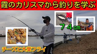 【小野川】アメナマのカリスマから釣りを学ぶ！チーズ大葉フライ