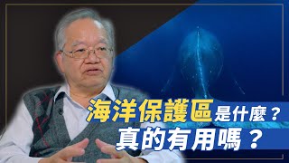 【守護海洋】國立臺灣海洋大學榮譽講座教授邵廣昭談海洋保護區的好處