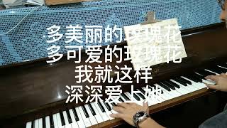 ( 可爱的玫瑰花 ) 音乐歌词。