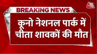 Breaking News: Kuno National Park में मृत मिले दो शावक, क्षत-विक्षत हालत में शव बरामद | Aaj Tak