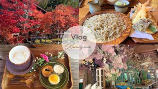 Vlog | 軽井沢旅行 . 秋の軽井沢は見どころがいっぱいでした🍂🍁🪵