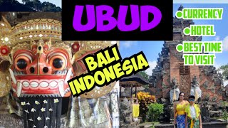 Ubud || Currency management || Hotel location || Best time to visit || বালি ইন্দোনেশিয়া || Part 2