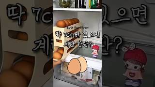 좁은 냉장고 정리 꿀템 #계란한판가능 #이거모르면살림불편해 #살림불편러