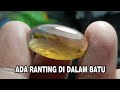 ANEH TAPI NYATA ,Batu ini ada ranting pohon didalam nya  #batumotif #batuakik