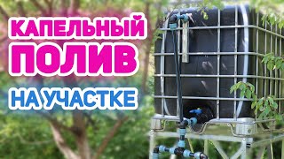 Как правильно сделать капельный полив. How to do drip irrigation.