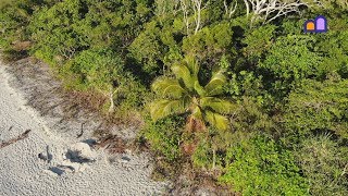 Australia - Daintree National Park