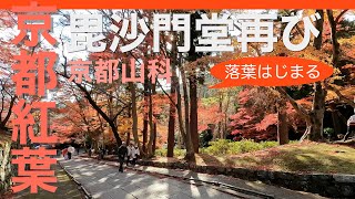 【京都の寺社を歩く】京都の紅葉2023 再び毘沙門堂 虹のような紅葉 Kyoto Yamashina Bisyamondo-temple autumn leaves again