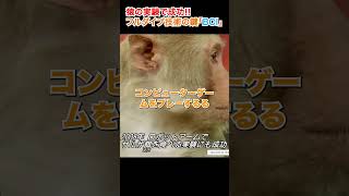 【フルダイブ】猿がフルダイブに成功??【BCI】