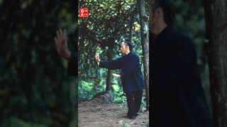 武当八卦掌第14集掌法教学（4）第3掌（Wudang Kungfu Bagua Palm Teaching）