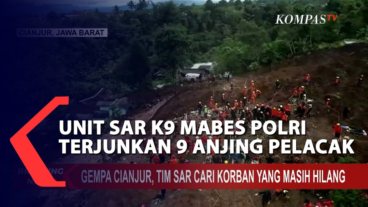 Unit SAR K9 Mabes Polri Terjunkan 9 Anjing Pelacak Untuk Bantu Cari ...