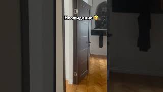 Неожиданно 🤣#неожиданно #прикол #приколы2023 #шортс