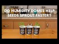 Do Humidity Domes Help Seeds Sprout Faster?