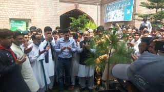 DC Peshawar on Green Pakistan Campaign