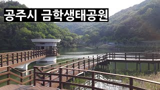 A place like this in the Gongju? nice place for a walk. Gongju Geumhak Park.