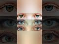 heterochromia iridium different eye colors eyes