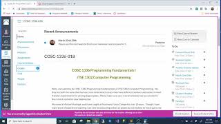Java 1 & 2, Spring 2020 - Quick Canvas Tutorial
