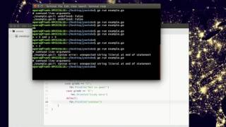Golang - Switch statement