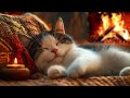 relaxing music for cats 🐈 anxiety relief music for cats 🐈 soothe your cat with our piano music