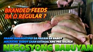 ANONG FEEDS ANG MAGANDANG GAMITIN SA BABOY