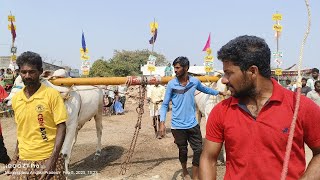 మోర్జంపాడు గ్రామంలో 2 పళ్ల విభాగం 5వ జత గ్రౌరు కార్తికేయ గారు మాఛాయపాల్లెం బెల్లంకొండ మండలం