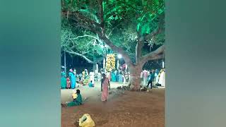 தெற்கு கல்லத்தியான்🕉️🙏 கோவில் திருவிழா | Night crackers 🎆💥 | Thiruvilla Mode @chaisthoughts6254