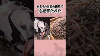 「転生したらゴルシの息子だった」ゴールドアバンティの雑学